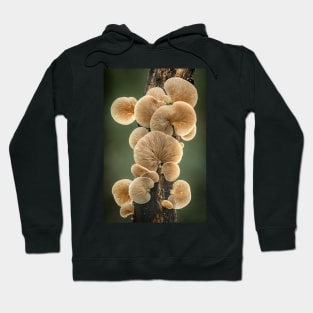 Crepidotus fungi on a branch Hoodie